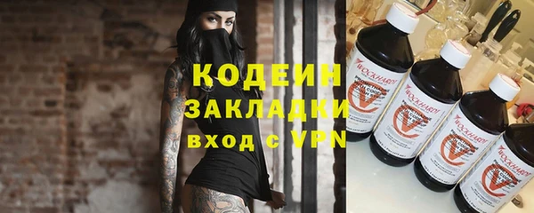 прущие грибы Кукмор