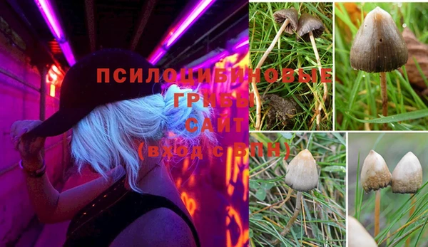крисы Ладушкин