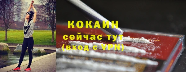 крисы Ладушкин