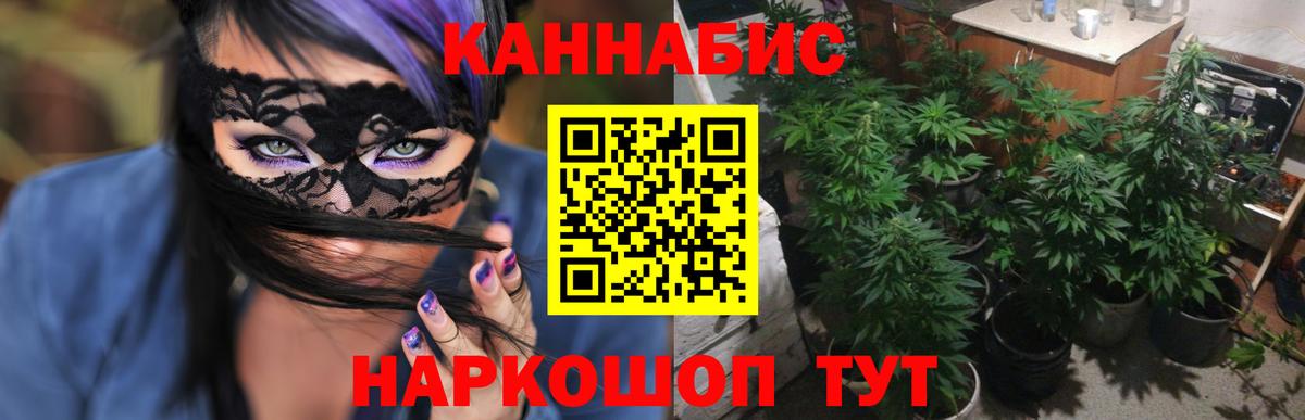 Бошки Шишки планчик  Вход с VPN  Туапсе  Бошки марихуана марихуана  Канабис сатива 